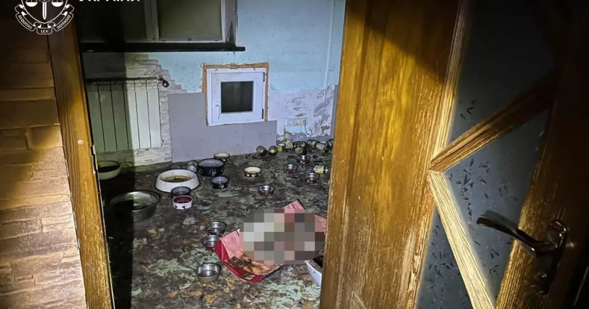 Масове жорстоке поводження з тваринами: на Обухівщині врятували десятки котів