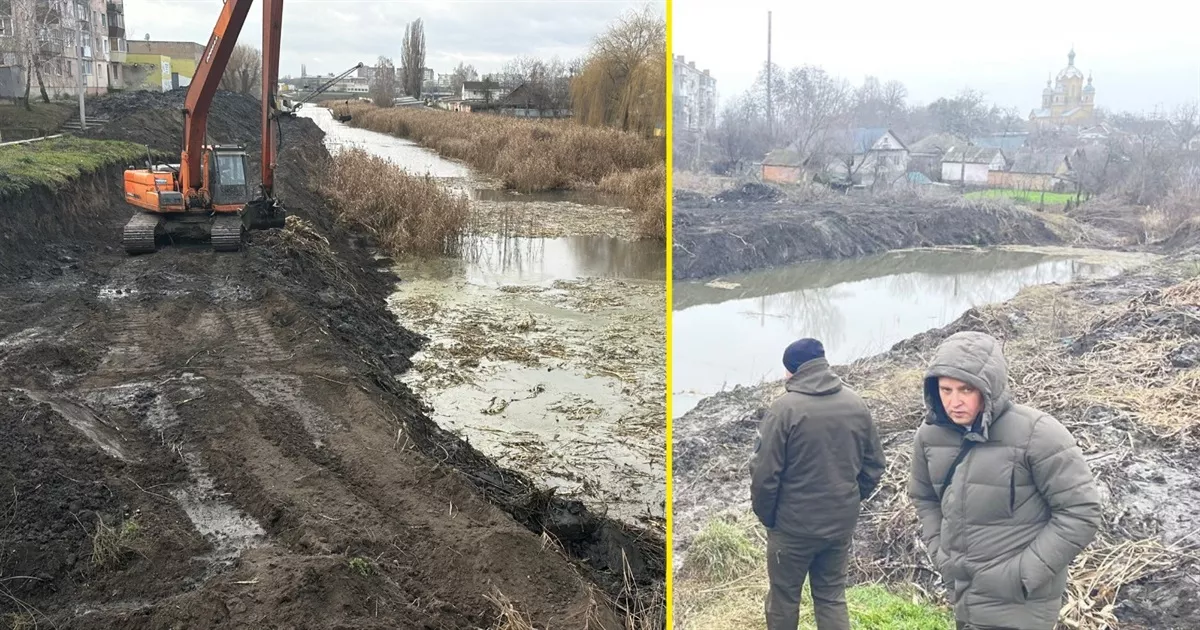 Екологічна перевірка в Переяславі: що не так із очищенням міського ставка