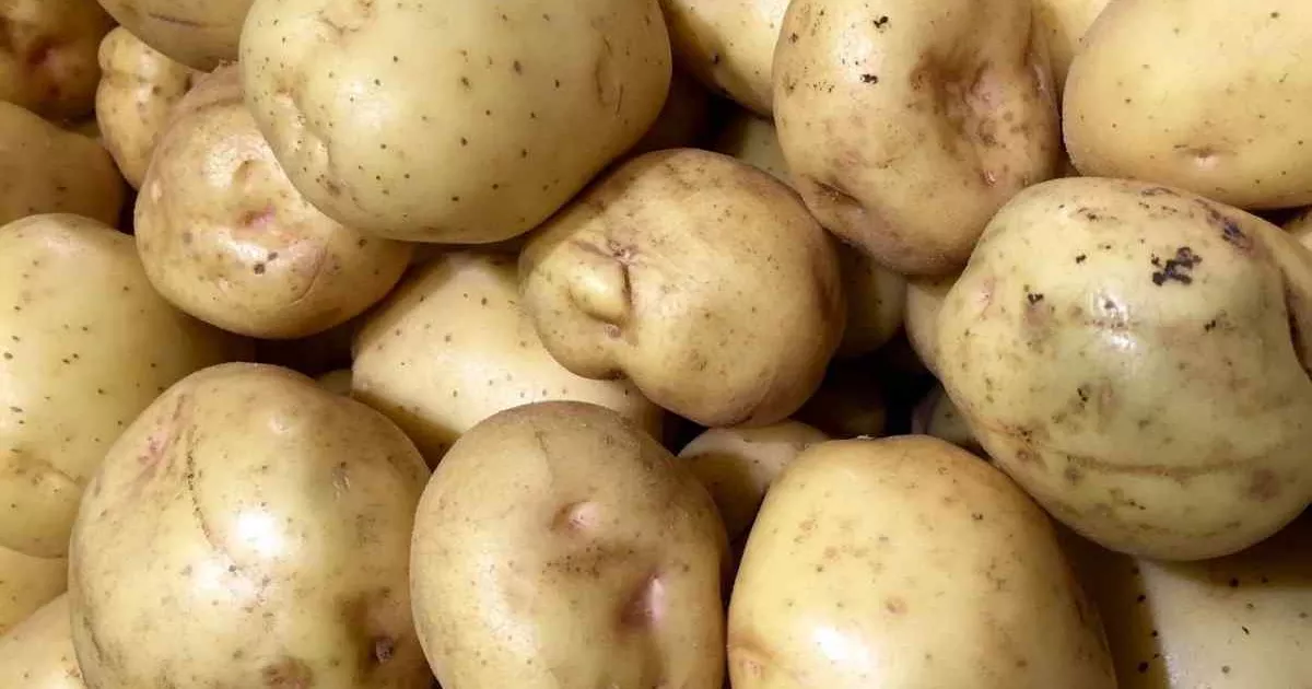 Мільйони на базові продукти: що купує київська міська лікарня №8