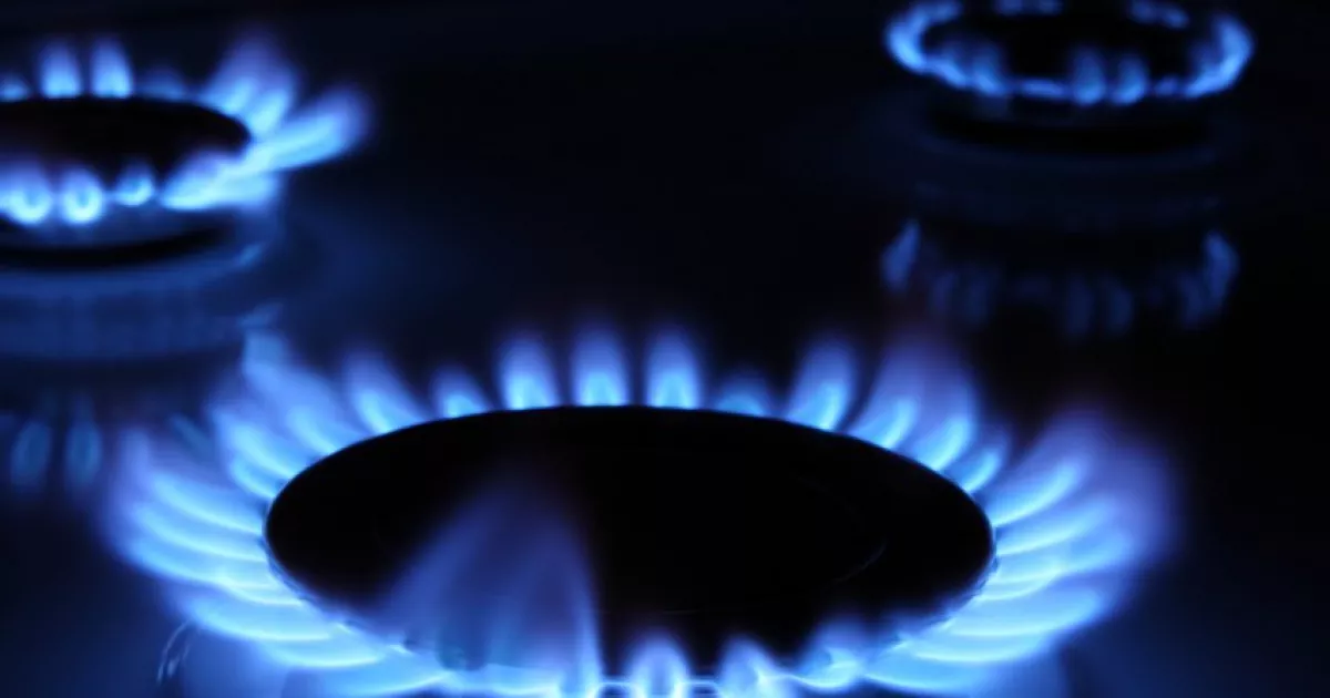 У Київській філії «Газмережі» спростували чутки про підвищення тарифів для населення Київщини