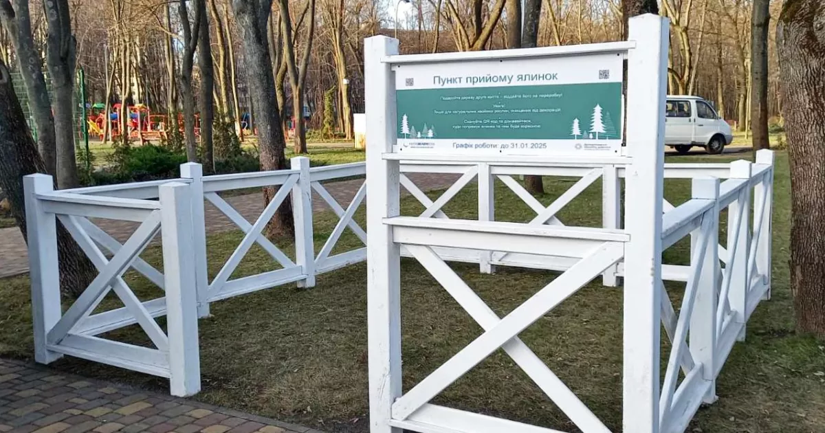 Київ дає ялинкам друге життя: з січня працюватимуть 72 пункти прийому