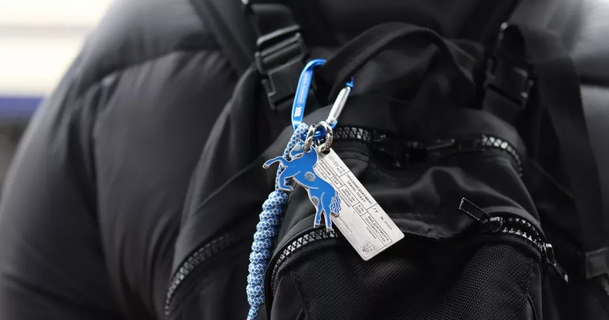 Блакитний коник та металевий квиток: Укрзалізниця випустила новий благодійний дроп, який захоче кожен