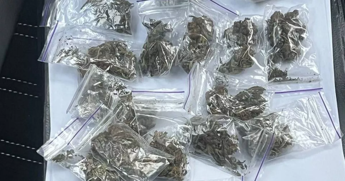 19 пакунків у куртці: в Білій Церкві поліція затримала ймовірного закладчика
