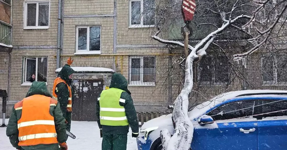 Негода повалила та пошкодила понад 800 дерев у Києві