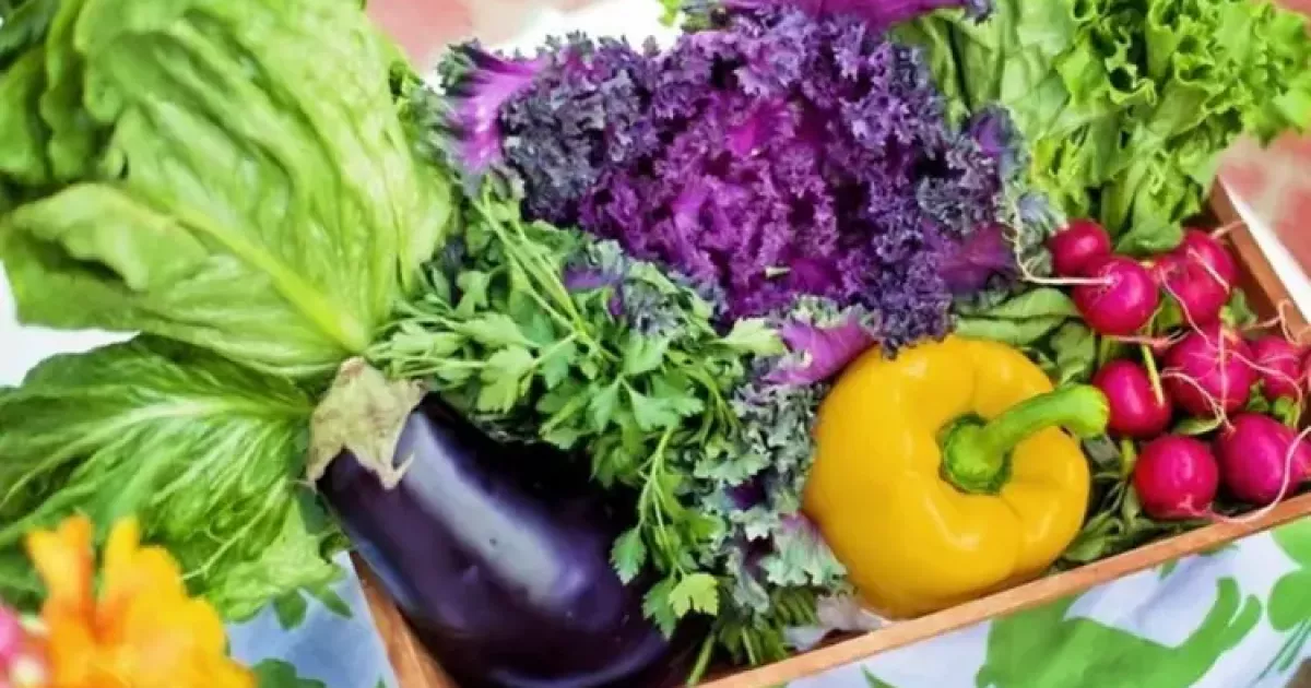 Де купити продукти від фермерів: графік ярмарків у Києві на 13–18 січня