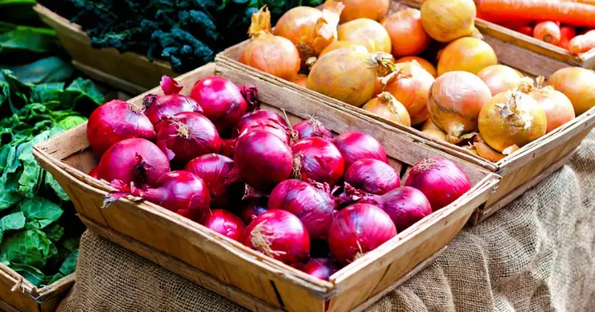 Продуктові ярмарки у Києві на вихідних: перелік локацій
