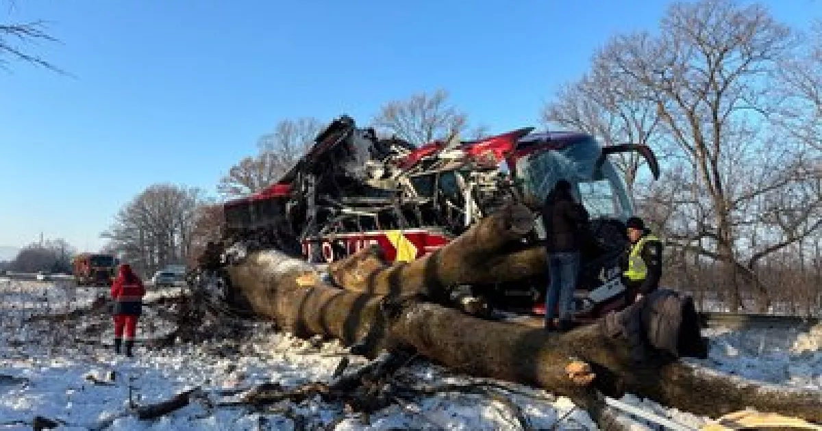 Аварія на маршруті «Відень — Київ»: автобус врізався в дерево на Львівщині, семеро пасажирів у лікарні