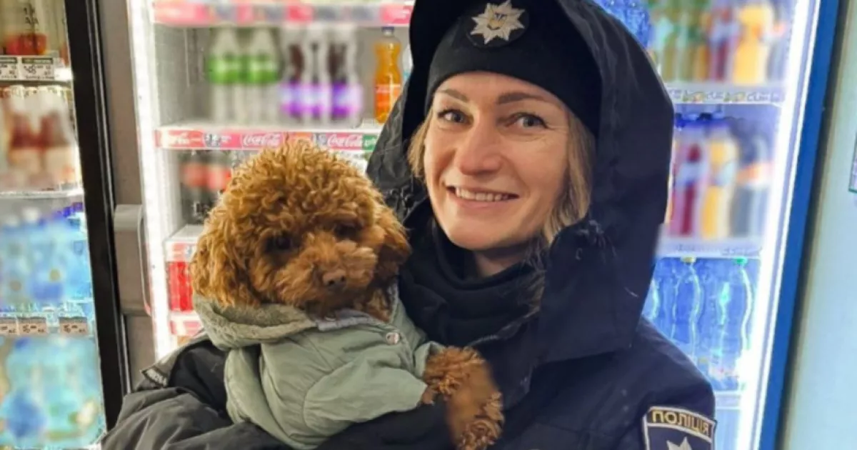 Маленький втікач у великому місті: в Ірпені поліцейська врятувала той-пуделя, що замерзав біля магазину