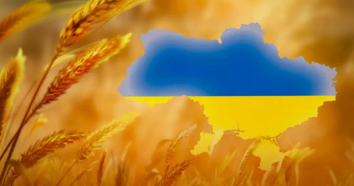 До Дня Соборності у Києві відкриють фотовиставку про українську армію