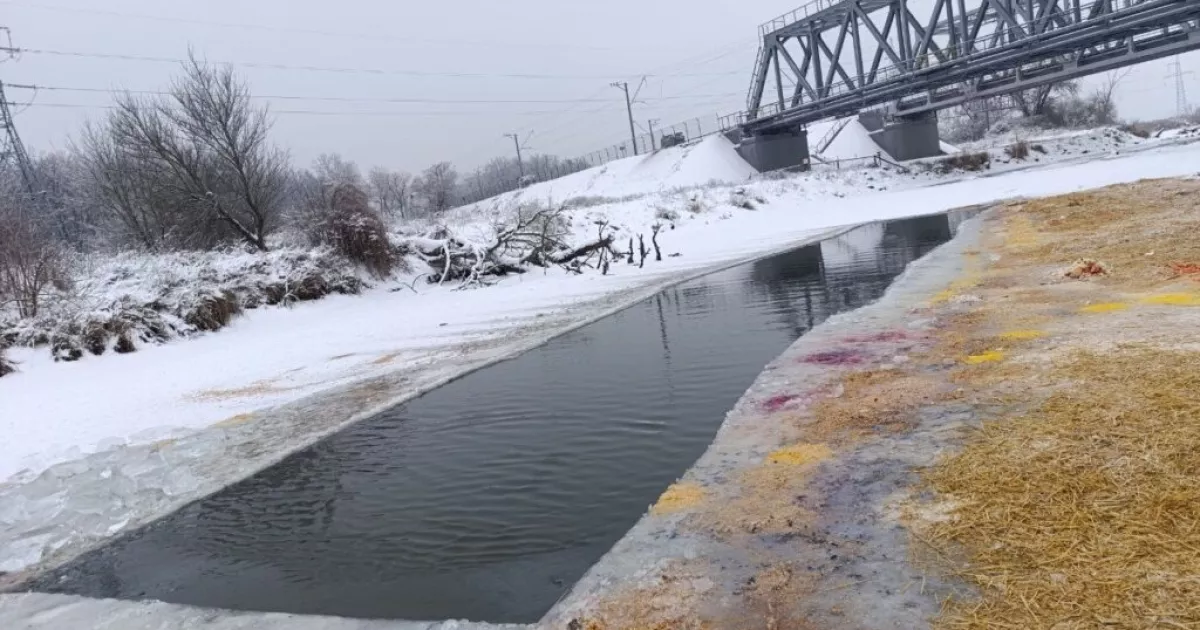 В Ірпені рятують птахів від морозів: для качок і лебедів розколюють лід на водоймах