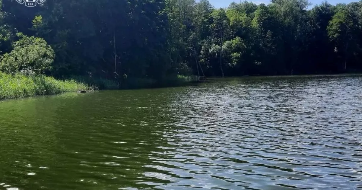 Земля на 390 мільйонів: чому межі «Совської Балки» досі не внесли до кадастру та хто на цьому заробляє