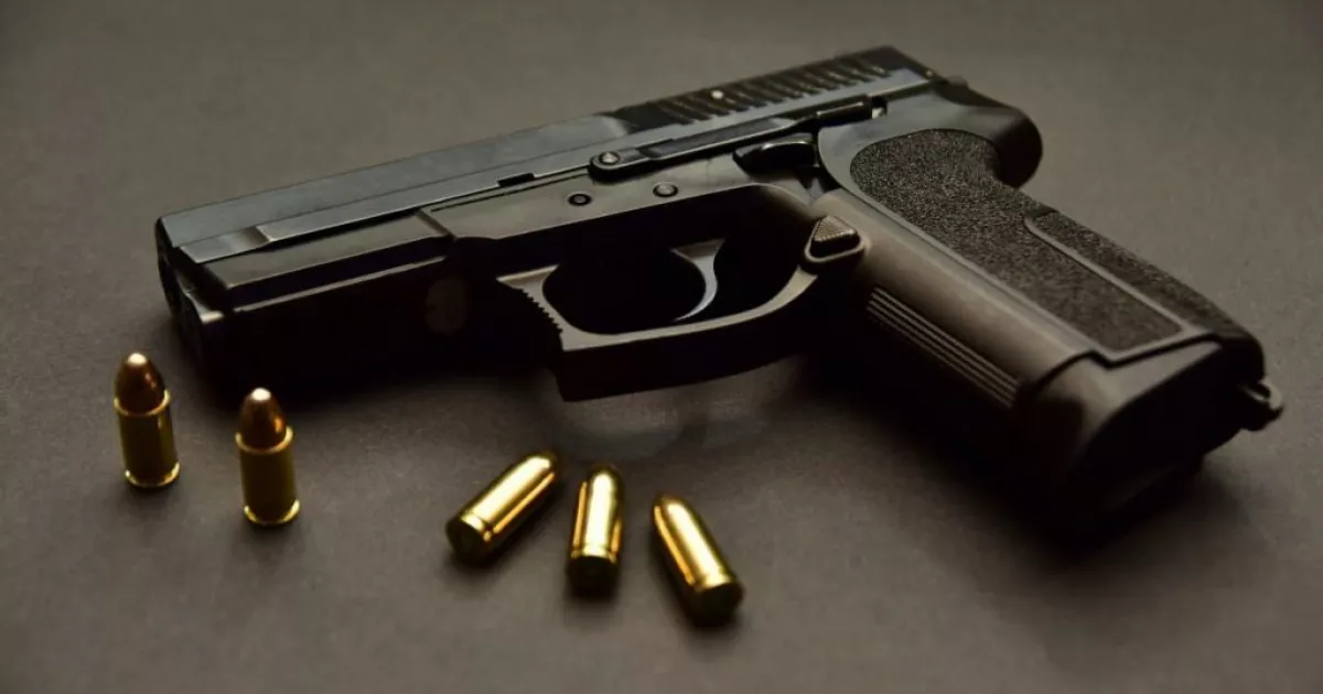 Понад 63 тисячі одиниць зброї та боєприпасів задекларували жителі Білоцерківщини