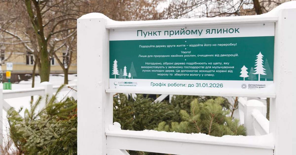 Ялинковий рекорд у столиці: кияни здали 7 тисяч дерев на переробку