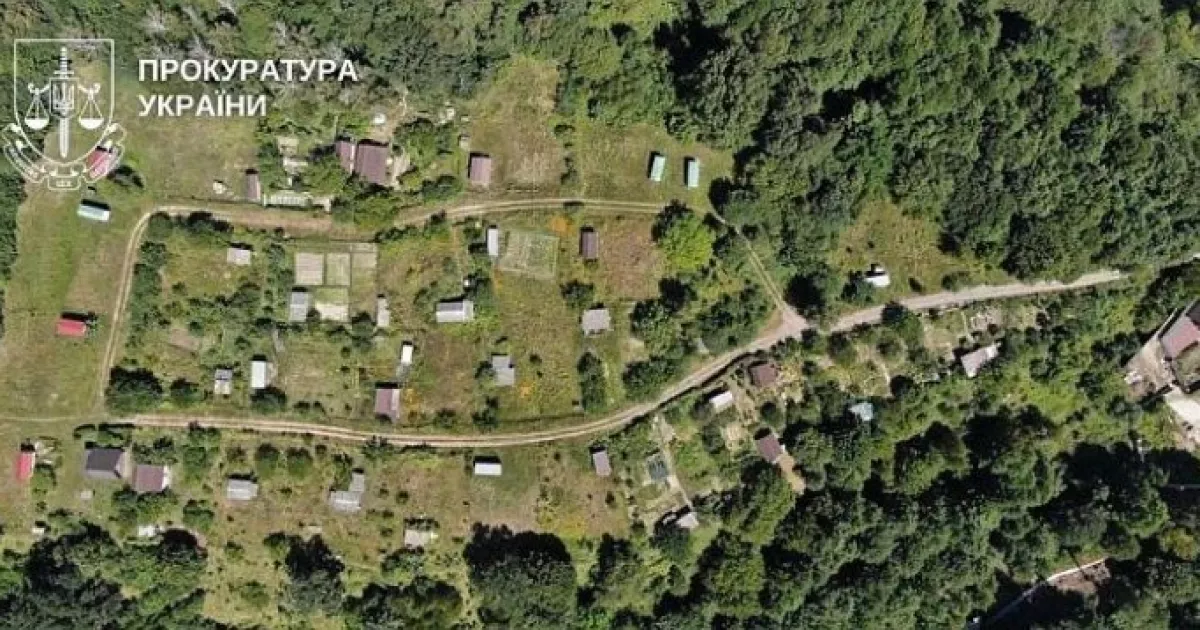 Дерибан природи у Києві: суд зобов’язав знести 33 незаконні будинки в Голосіївському парку