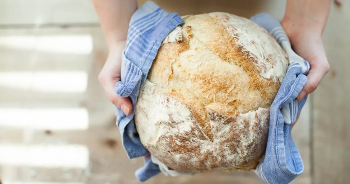 Українська кулінарна традиція: продукти, способи приготування та варіанти подачі