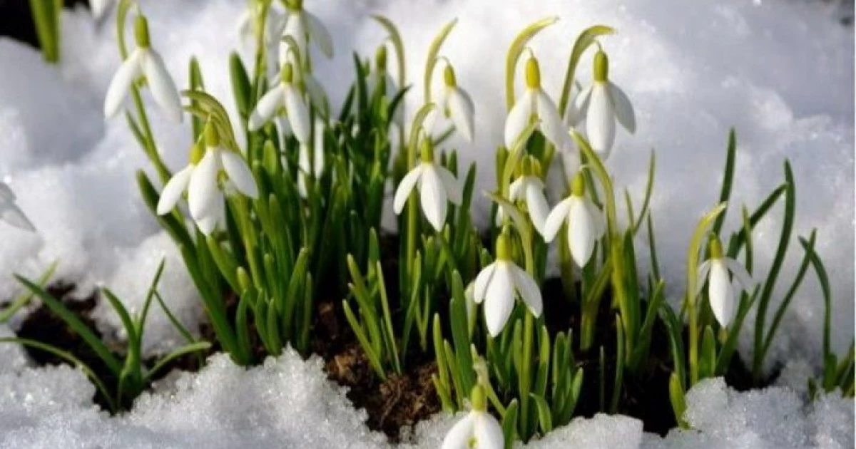 Весна на порозі: у Києві 28 лютого до +5°, але зранку можливий небезпечний лід