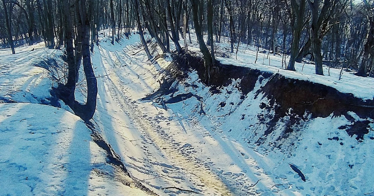 Місце, про яке знають не всі: у Голосіївському лісі є дорога віком понад два століття