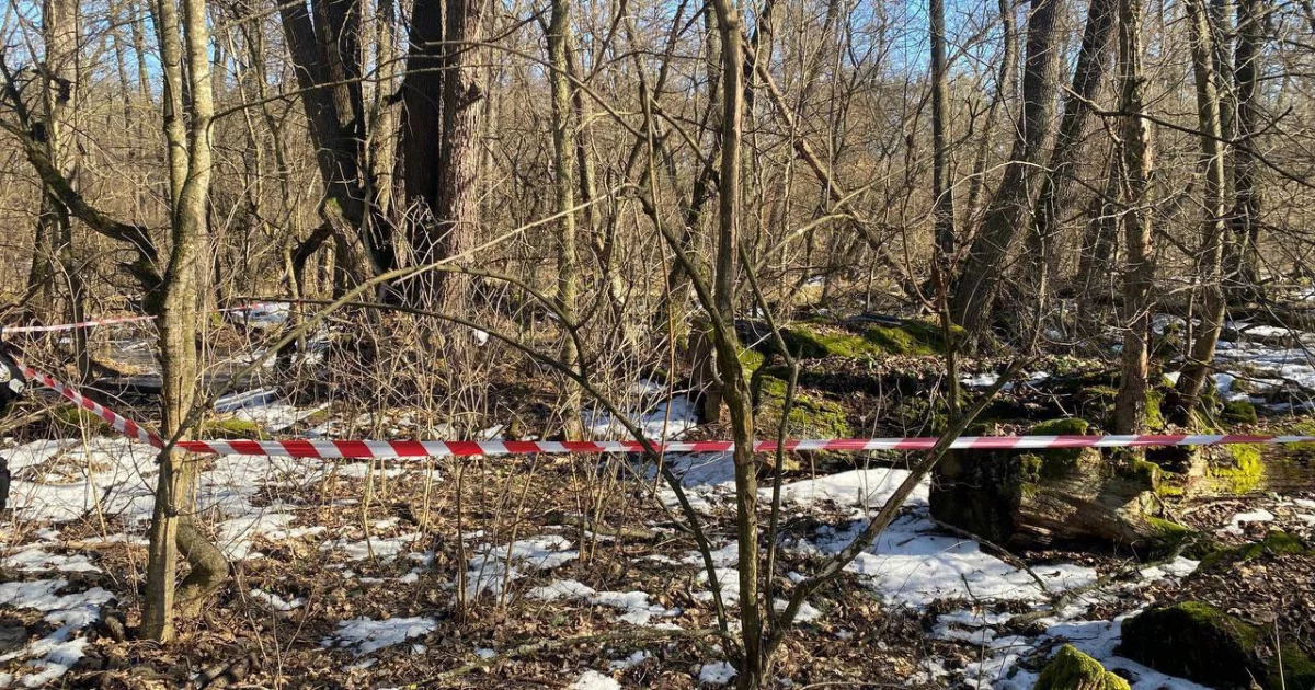 У Голосіївському районі знайшли бойову частину ворожого дрона