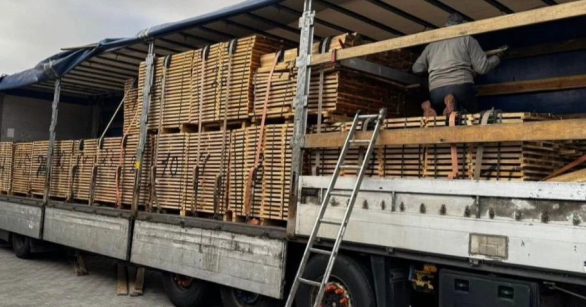 У Києві судитимуть чоловіка за спробу контрабанди дубової деревини на понад 700 тис. грн