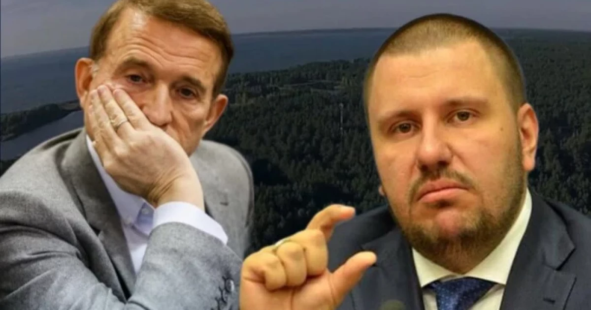 Під Києвом державі повернули 9,5 га лісу: ділянки були пов’язані зі структурами Медведчука