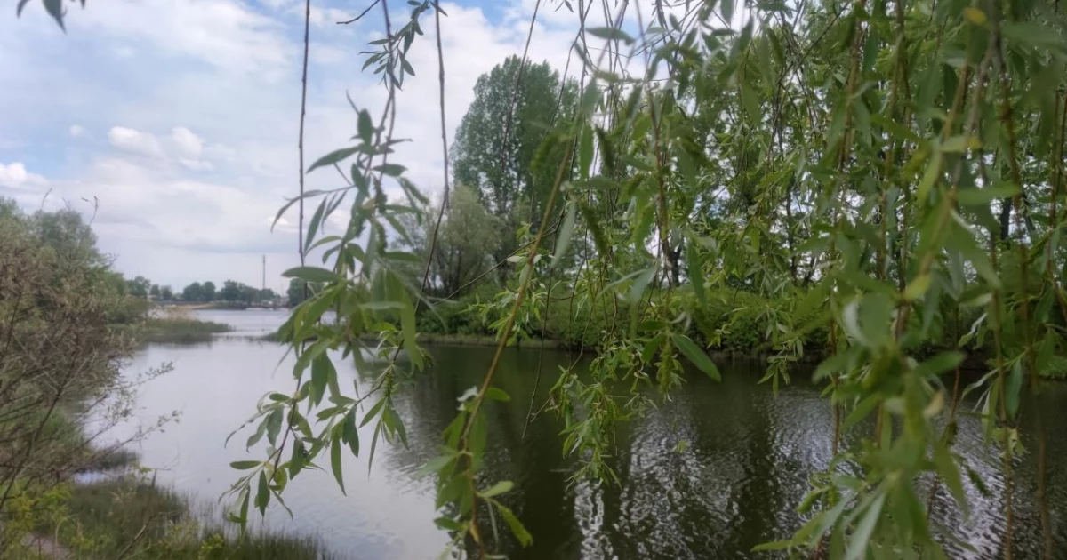 У Києві збудують пішохідний міст у парку на Прирічній за підтримки Литви