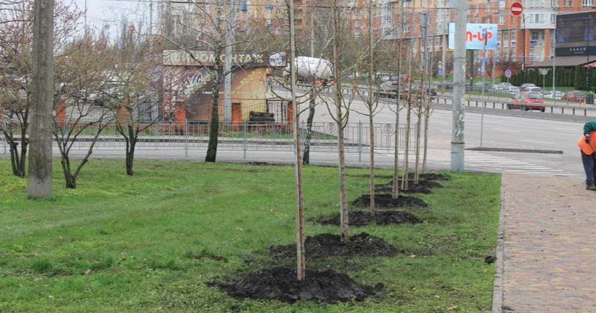 У Києві стартує масштабний благоустрій: роботи охоплять понад 120 парків і скверів