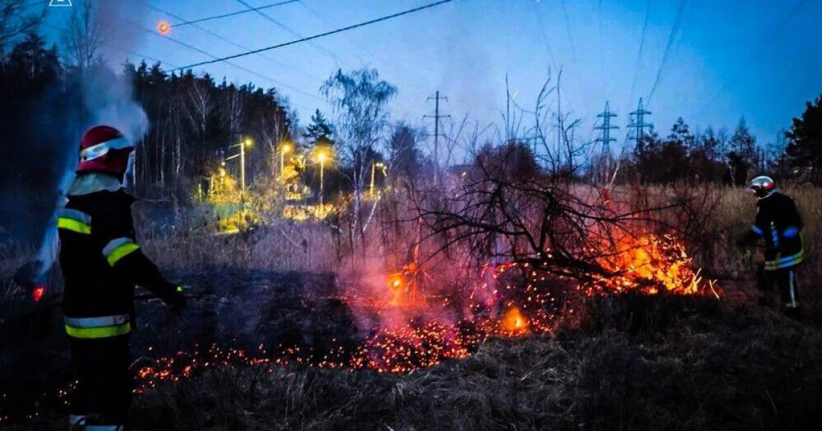 43 пожежі за добу на Київщині та 1 загиблий: понад 10 га землі знищено вогнем