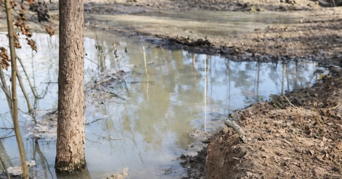 Прорив дамби на Київщині: вода з військового кладовища рухається до Віти-Поштової