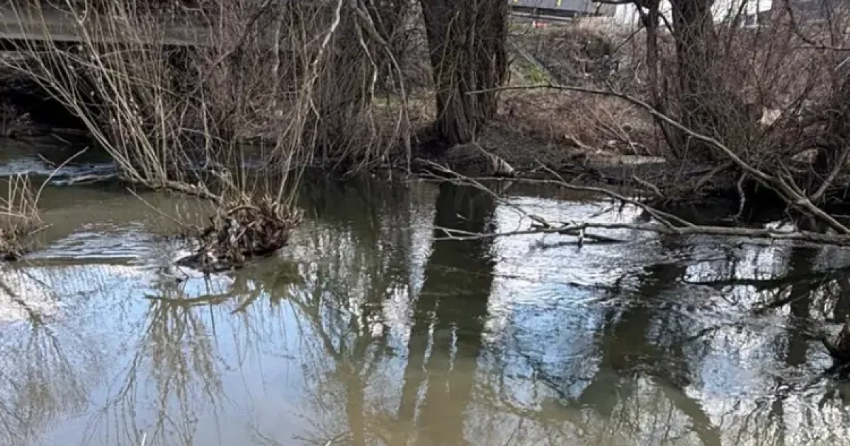 На Київщині стічні води потрапляють у річку Буча: екологи взялися за перевірку