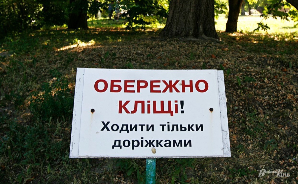 Весняна небезпека в парках: як уберегтися від кліщів у Києві