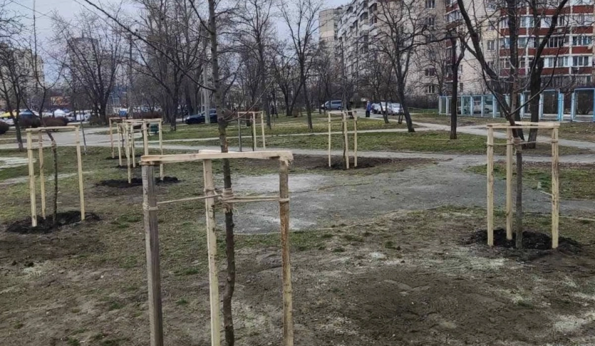 У столиці висадили сотні дерев: Дніпровський та Деснянський райони оновлюють зелені зони