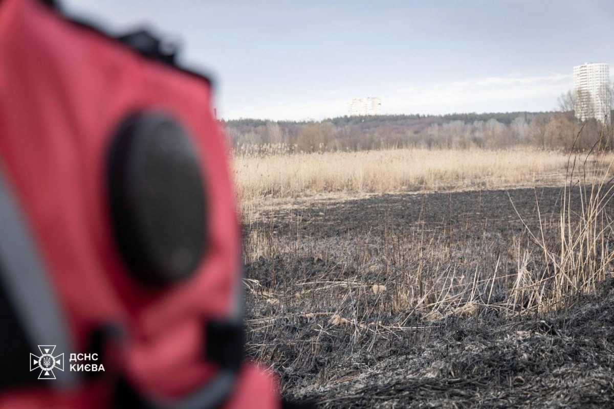 Пікнік із небезпекою: у Святошинському районі рятувальники дві години гасили пожежу