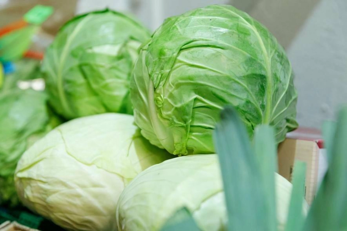 У Києві стартують продуктові ярмарки: де шукати свіжі продукти