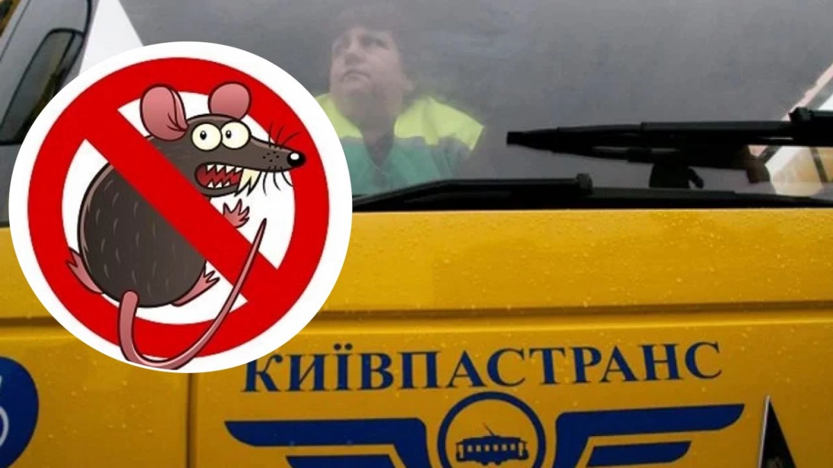 Київпастранс готує велику зачистку - тендер на боротьбу з гризунами