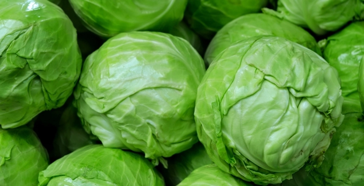 Де купити свіжі продукти у Києві: повний розклад ярмарків на 14–19 квітня