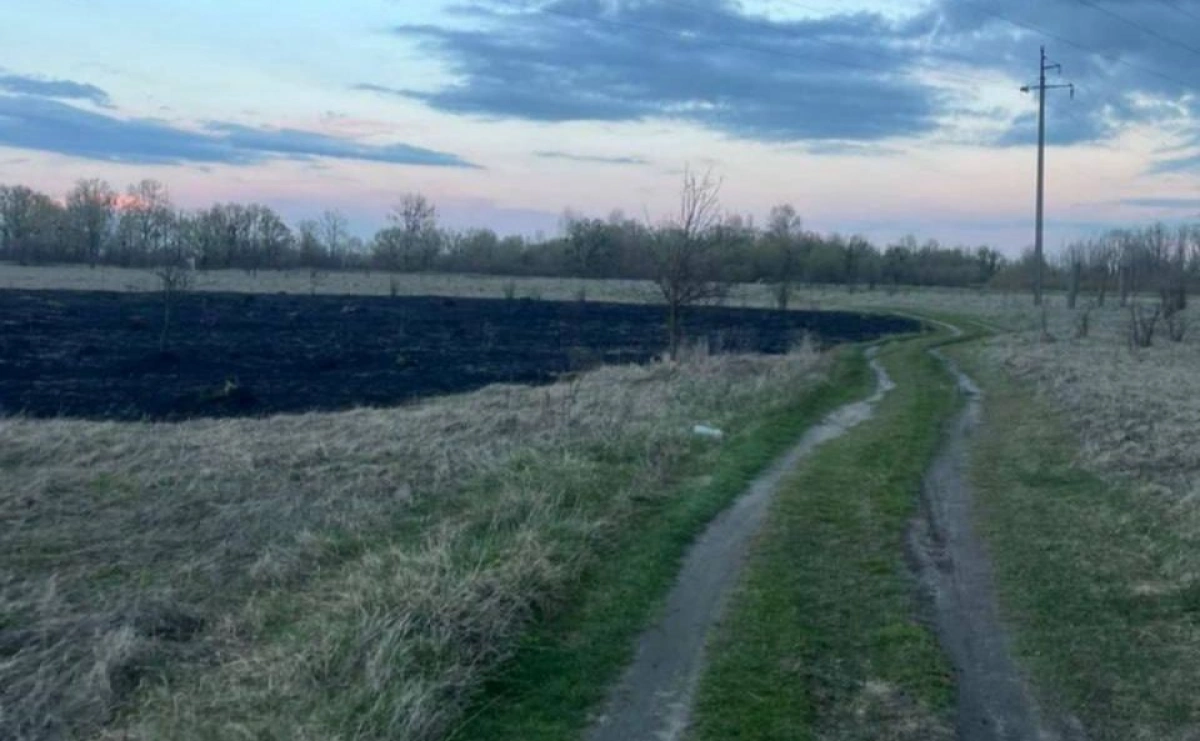 На Вишгородщині 19-річний хлопець запустив феєрверк і спричинив пожежу на полі