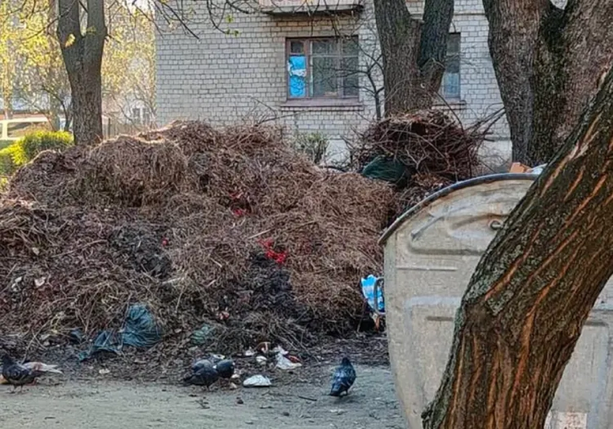 На Відрадному у Києві прибрали купи гілля, що залишалися з минулого року