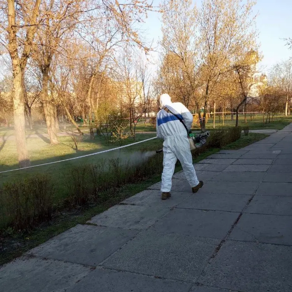 У Києві стартувала масштабна обробка від кліщів: де вже небезпечно гуляти