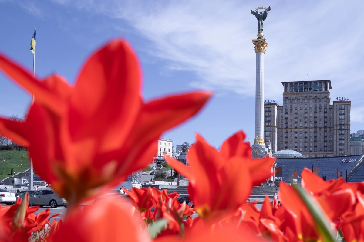 У Києві розквітли тюльпани - де шукати найкрасивіші локації