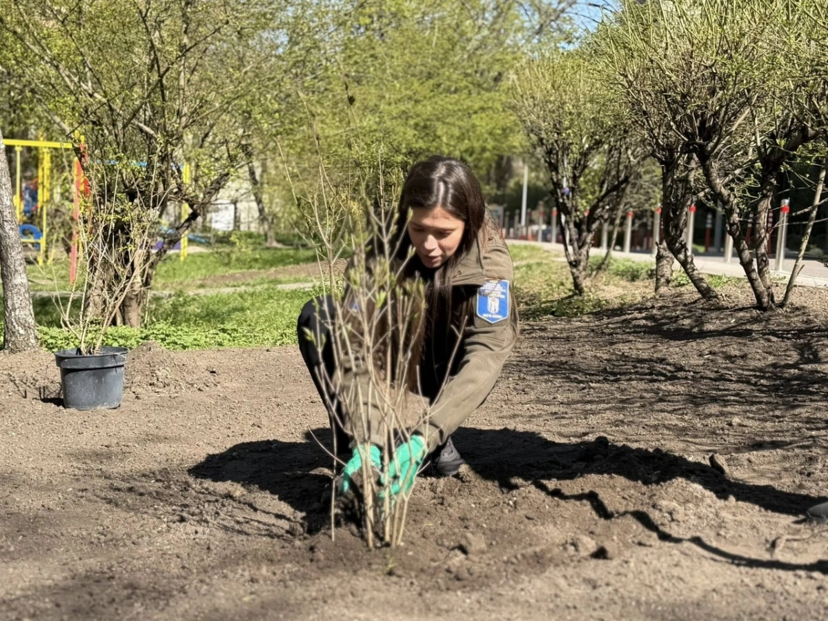У Печерському районі Києва замість МАФів облаштували зелену зону