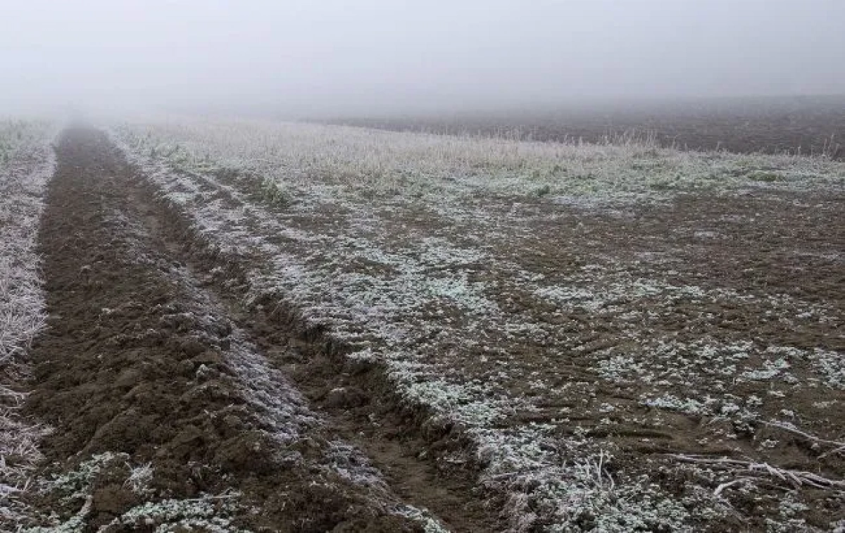 Заморозки до -2°: у Києві оголосили жовтий рівень небезпеки