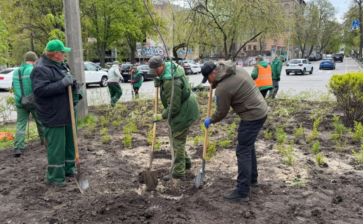 Замість МАФів — зелена зона: поблизу Львівської площі з’явилася нова оаза