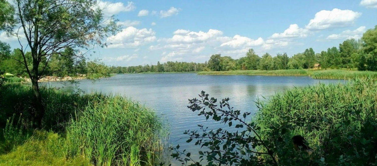 Біля озера Міністерка знищили альтанки і занедбали кафе - що відбувається на локації