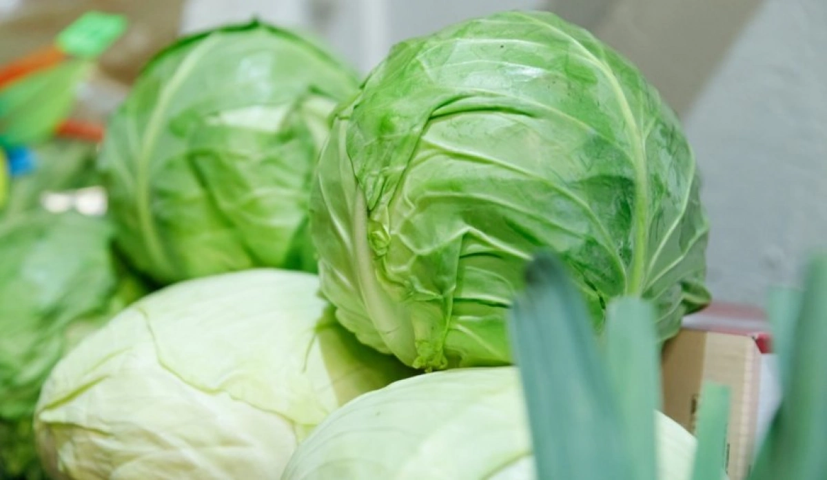 Де шукати фермерські продукти: повний розклад ярмарків у Києві з 5 до 10 травня
