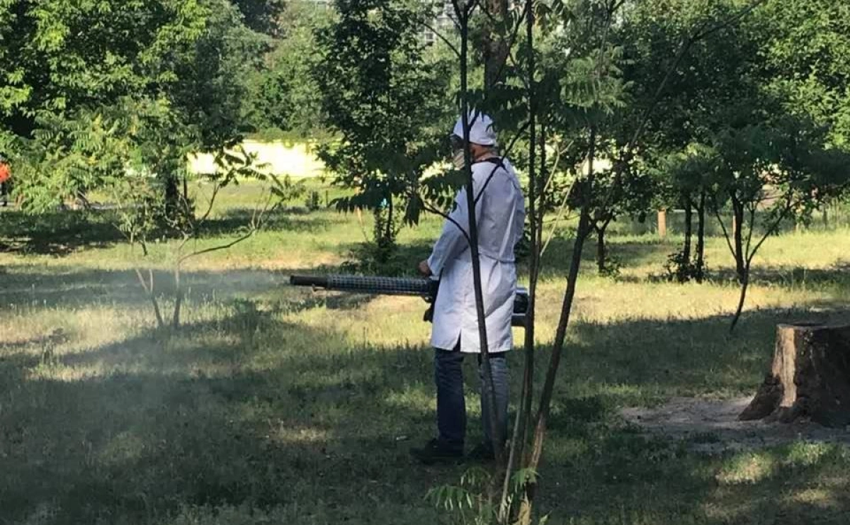 У Києві тимчасово закриють популярний парк: що відбуватиметься у «Перемозі»
