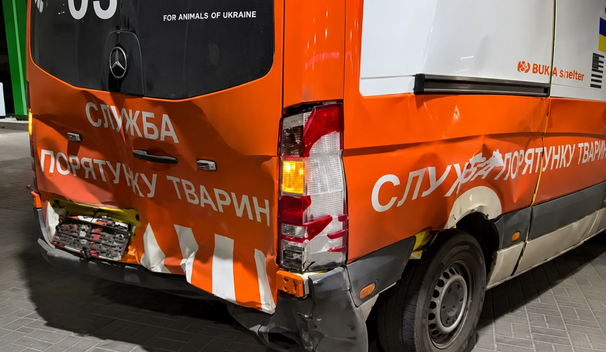 Оленя Бориса вдруге травмували під час перевезення до Києва