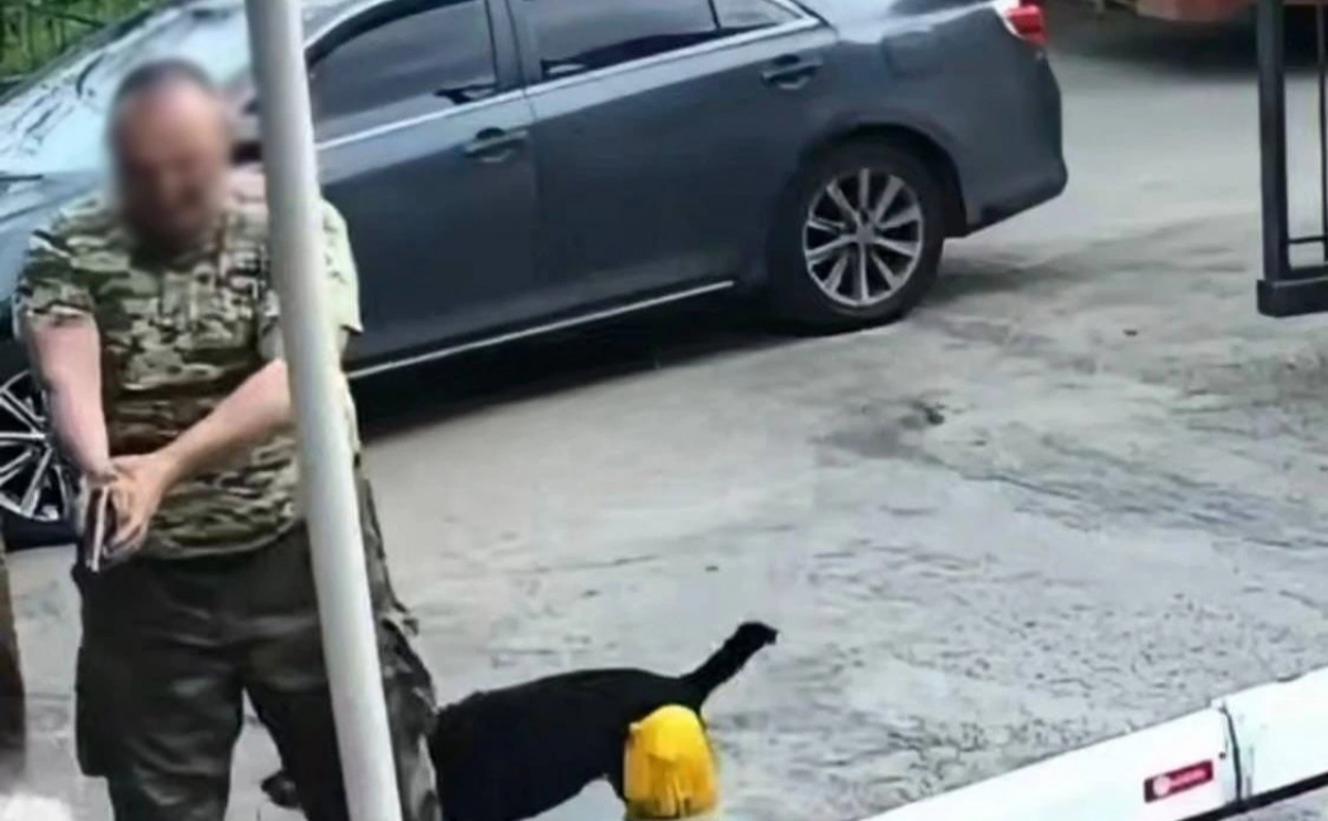 Сварка через собаку закінчилась погрозами зброєю: у Києві розслідують конфлікт в гаражному кооперативі