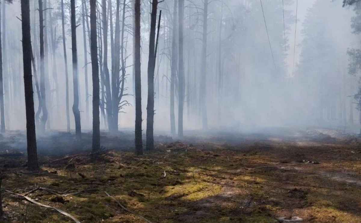 Пожежу в Чорнобильському заповіднику локалізували: що з радіаційним фоном
