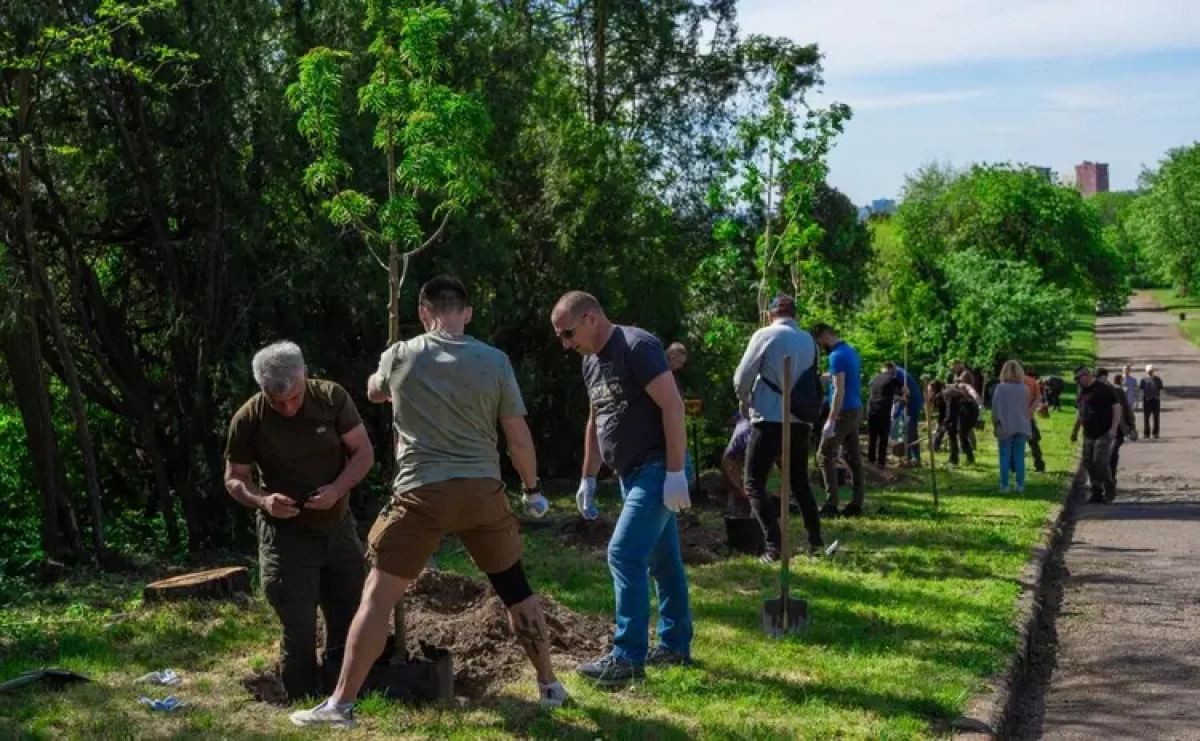 Горобина як символ незламності: у Києві з’явилася Алея Героїв у ботсаду імені Гришка