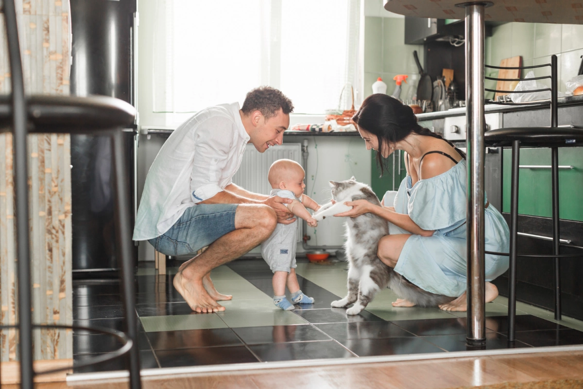 Київщина очолила рейтинг pet-friendly оренди: де в Україні найлегше зняти житло з тваринами